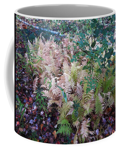  Coffee Mug featuring the photograph Pale Ferns by MTBobbins Photography