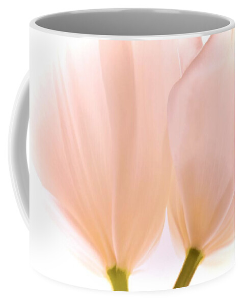 Flowers Coffee Mug featuring the photograph Pale Pink Tulips with Vignette by Phyllis Meinke