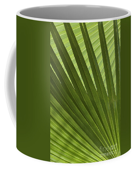 Palm Coffee Mug featuring the photograph Palm Abstract by Patty Colabuono