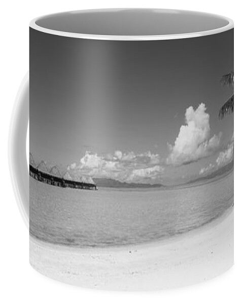 Photography Coffee Mug featuring the photograph Palm Tree On The Beach, Moana Beach by Panoramic Images
