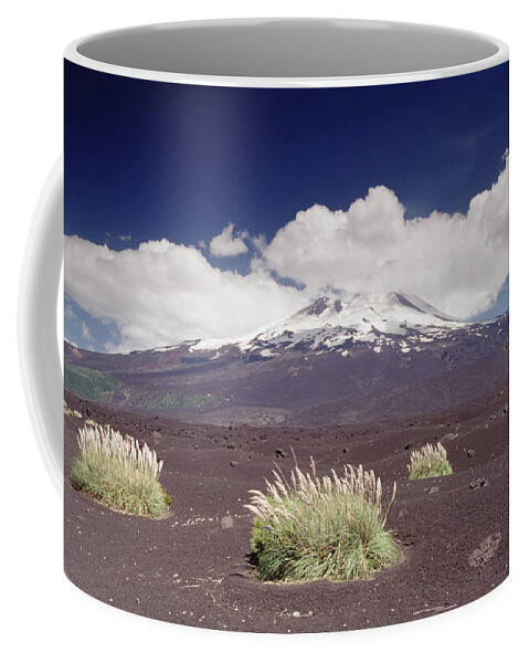 Feb0514 Coffee Mug featuring the photograph Pampas Grass And Old Lava Flow Llaima by Gerry Ellis