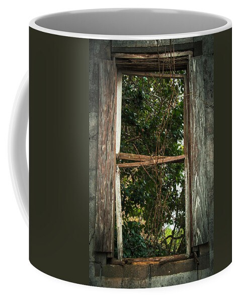 Abandoned Coffee Mug featuring the photograph Paneless by Valerie Cason