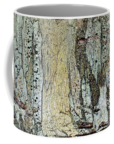 Duane Mccullough Coffee Mug featuring the photograph Panoramic Tree Bark Abstract by Duane McCullough