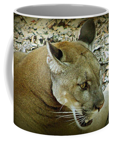 Animals Coffee Mug featuring the photograph Panther by Debra Forand