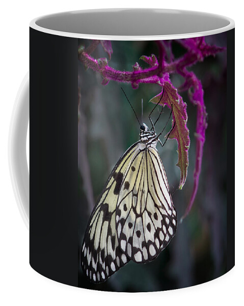 Shirley Mitchell Coffee Mug featuring the photograph Paper Kite  by Shirley Mitchell