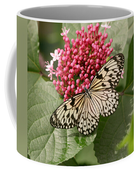 Butterfly Coffee Mug featuring the photograph Paper Kite Butterfly by Kim Hojnacki