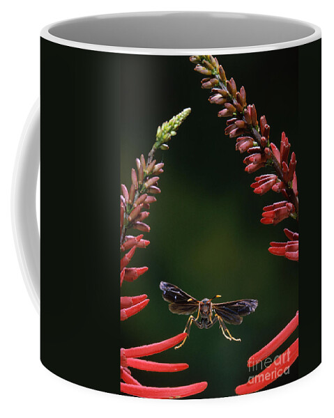 Animal Coffee Mug featuring the photograph Paper Wasp in Flight by Stephen Dalton