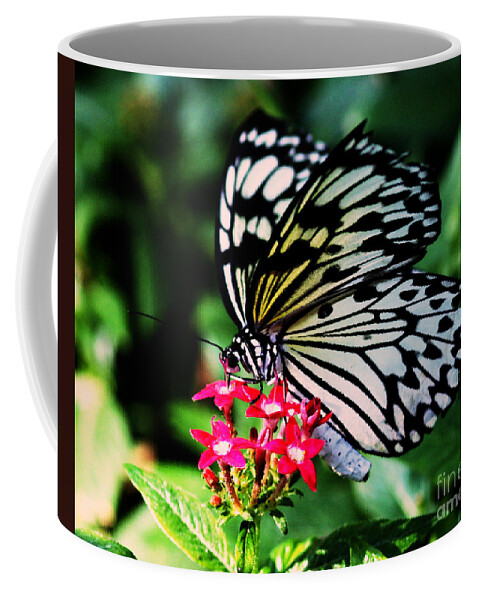 Butterfly House Coffee Mug featuring the photograph Paper White Butterfly by Sandra Clark
