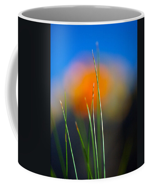 Flora Coffee Mug featuring the photograph Papyrus by Joe Schofield