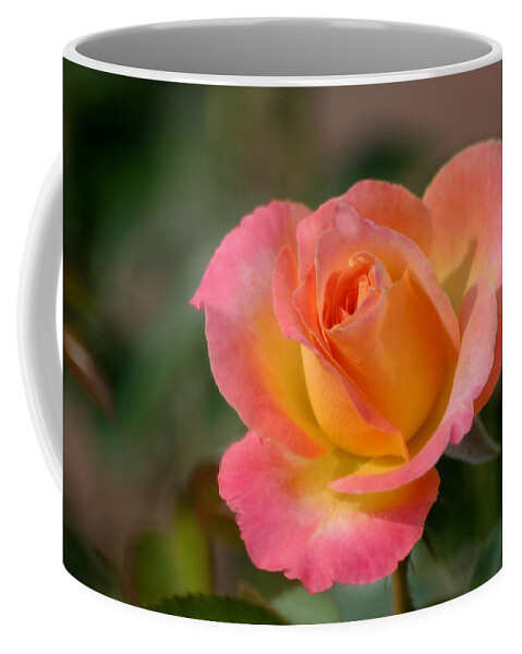 Rose Coffee Mug featuring the photograph Paradise Found by Living Color Photography Lorraine Lynch