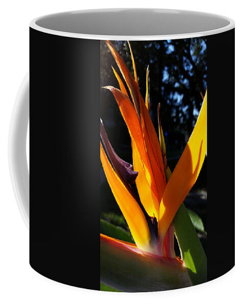 Bird Of Paradise Flower Coffee Mug featuring the photograph Paradise Petals by Valerie Cason