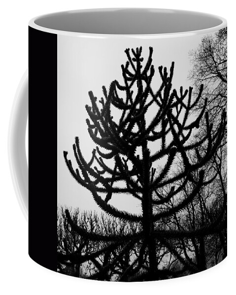 Paris Coffee Mug featuring the photograph Paris Black and White Tree in the Jardin des Plantes by Evie Carrier