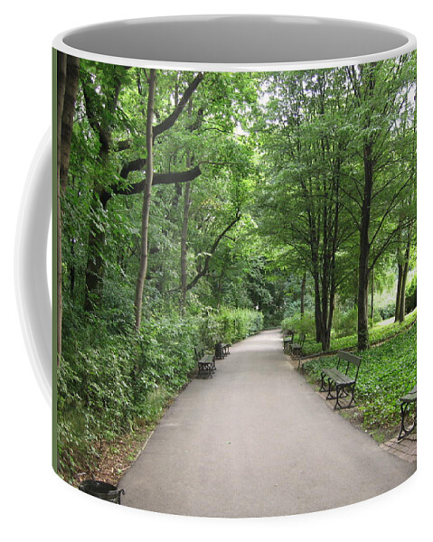  Coffee Mug featuring the photograph Park Bench Poland by Nora Boghossian