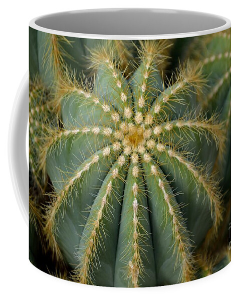 Pear Coffee Mug featuring the photograph Parodia Magnifica by Scott Lyons