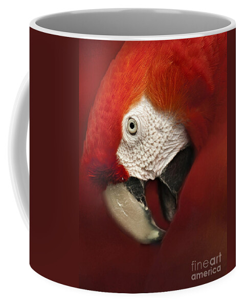 Parrot Coffee Mug featuring the photograph Parrot Portrait by Pam Holdsworth