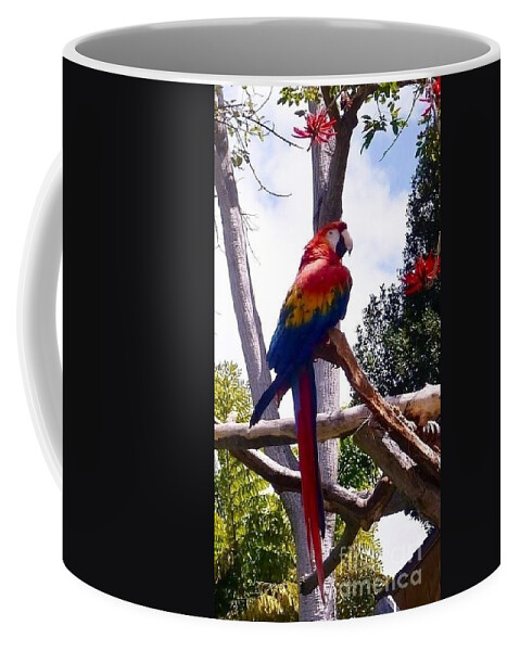 Birds Coffee Mug featuring the photograph Parrot by Susan Garren