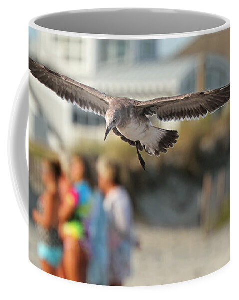 Seagulls Coffee Mug featuring the photograph Look Out Below by Geoff Crego