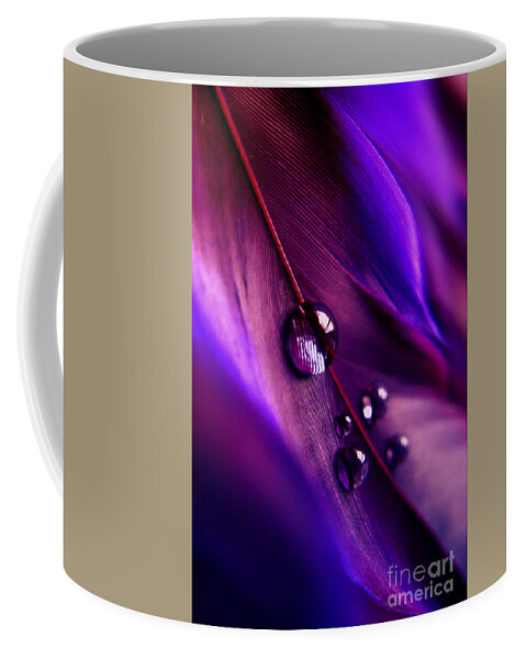 Feather Coffee Mug featuring the photograph Treasures Within by Krissy Katsimbras