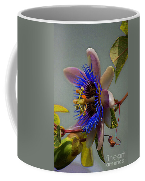 John+kolenberg Coffee Mug featuring the photograph Passion Flower by John Kolenberg