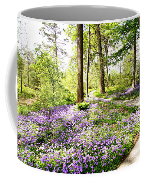 Spring Coffee Mug featuring the photograph Path of Serenity by Trina Ansel