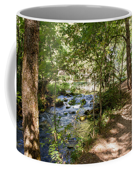 Outdoors Coffee Mug featuring the photograph Pathway Along the Springs by John M Bailey