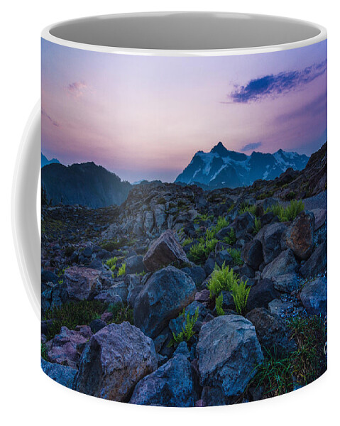 New Day Coffee Mug featuring the photograph Pathway To Light by Gene Garnace