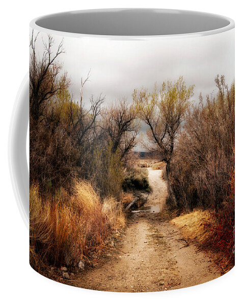 Manzanar Coffee Mug featuring the photograph Pathway to Numen by Jennifer Magallon