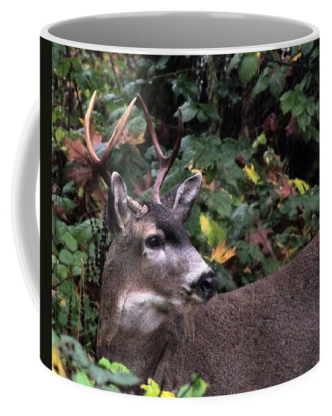 Nature Coffee Mug featuring the photograph Patriarch by I'ina Van Lawick