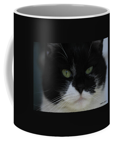Tuxedo Coffee Mug featuring the photograph Green Eyes of a Tuxedo Cat by Valerie Collins