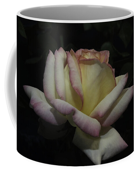 Roses Coffee Mug featuring the photograph Peace to You and Yours by Lucinda Walter