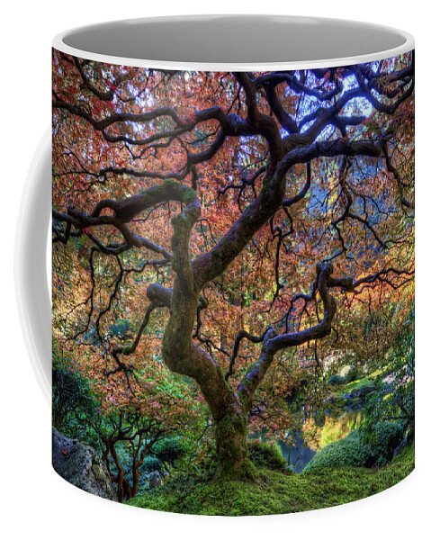 Hdr Coffee Mug featuring the photograph Peaceful Autumn Morning by Brad Granger