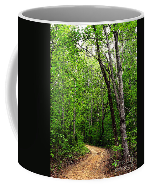 Dirt Road Coffee Mug featuring the photograph Peaceful Walk by Lydia Holly