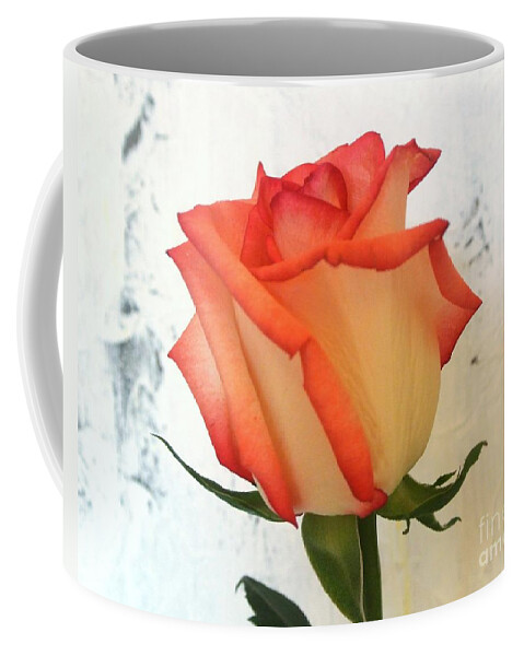 Photo Coffee Mug featuring the photograph Peach Trim Rose by Marsha Heiken