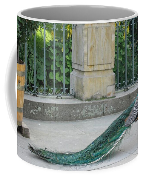 Peacock Coffee Mug featuring the photograph Peacock 3 by Nora Boghossian