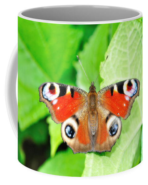  Butterfly Coffee Mug featuring the photograph Peacock buterfly by Martin Capek