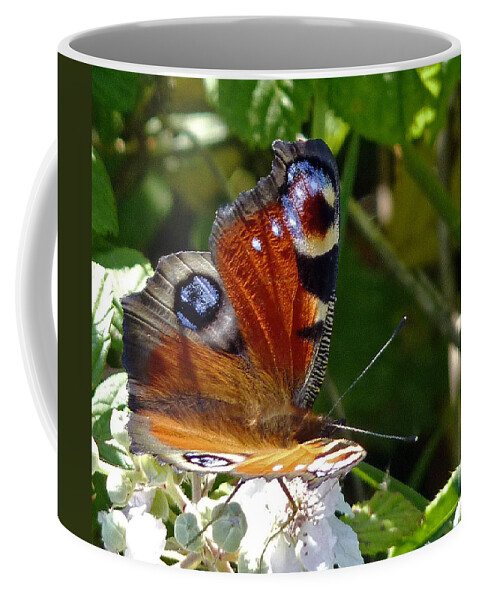 Peacock Butterfly Coffee Mug featuring the photograph Peacock butterfly by Tony Murtagh