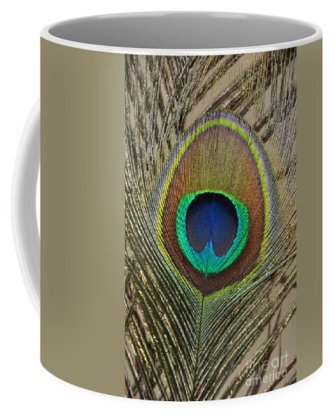 Peacock Feather Coffee Mug featuring the photograph Peacock Feather by Debra Thompson