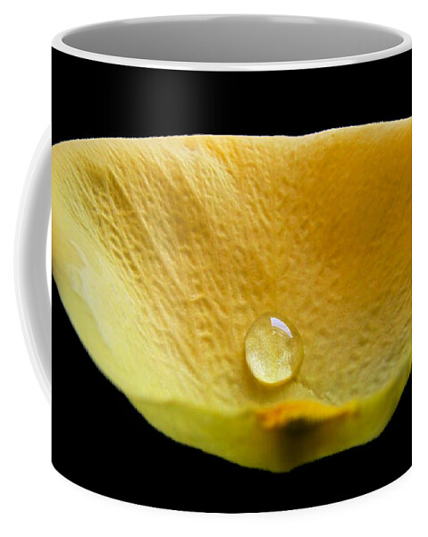 Nature Coffee Mug featuring the photograph Pearl in a petal by Debbie Portwood