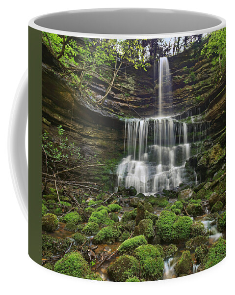 Tim Fitzharris Coffee Mug featuring the photograph Pearly Springs Waterfall Buffalo by Tim Fitzharris
