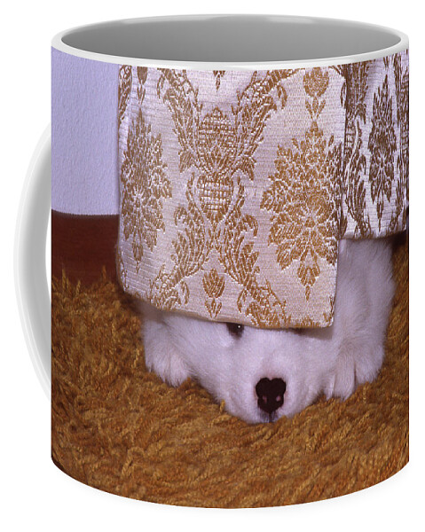 Puppy Coffee Mug featuring the photograph Peek-A-Boo by Ginny Barklow
