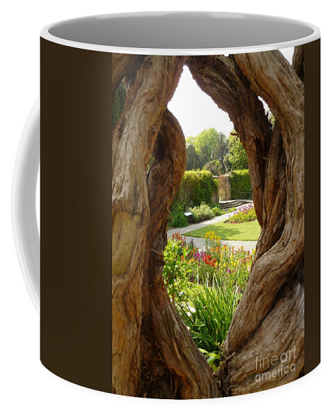 Peek Coffee Mug featuring the photograph Peek At The Garden by Vicki Spindler