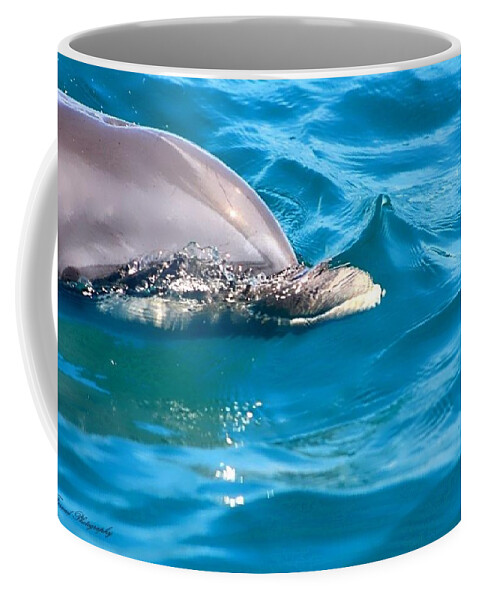Dolphin Coffee Mug featuring the photograph Peeking Dolphin by Debra Forand