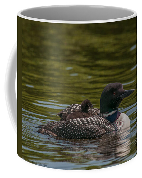 Common Loon Coffee Mug featuring the photograph Peeking From Under by Brenda Jacobs