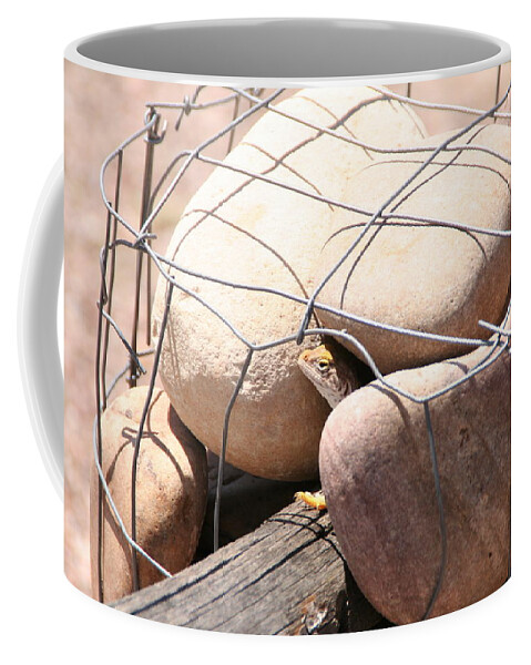 David S Reynolds Coffee Mug featuring the photograph Peeking Out by David S Reynolds