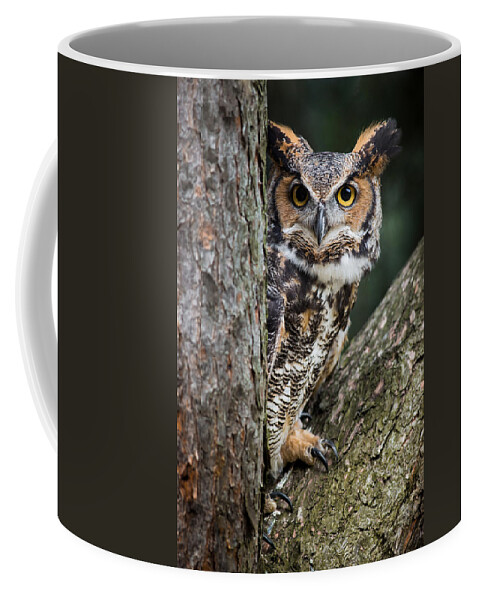 Great Horned Owl Coffee Mug featuring the photograph Peering Out by Dale Kincaid