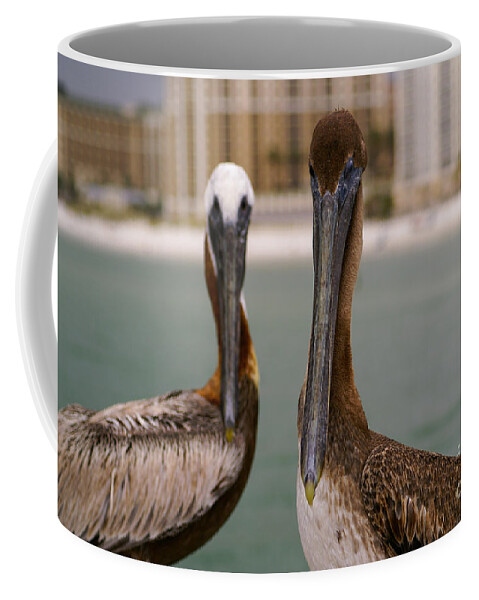 Pelican Coffee Mug featuring the photograph Pelican Couple by Jennifer White