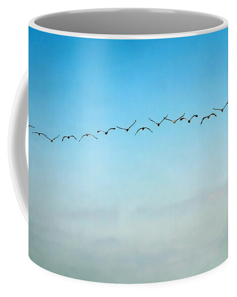 Pelican Coffee Mug featuring the photograph Pelican Flight Line by Peggy Hughes