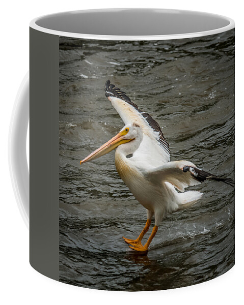 Pelican Coffee Mug featuring the photograph Pelican Landing by Paul Freidlund