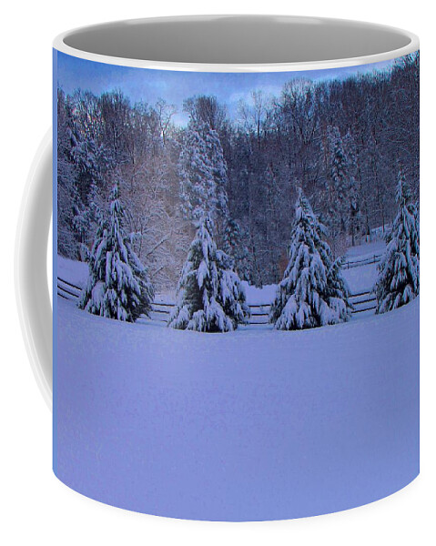 Pennsylvania Coffee Mug featuring the photograph Pennsylvania Snowy Wonderland by David Dehner