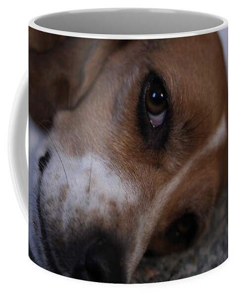 Beagle Coffee Mug featuring the photograph Penny the Beagle Dog by Valerie Collins